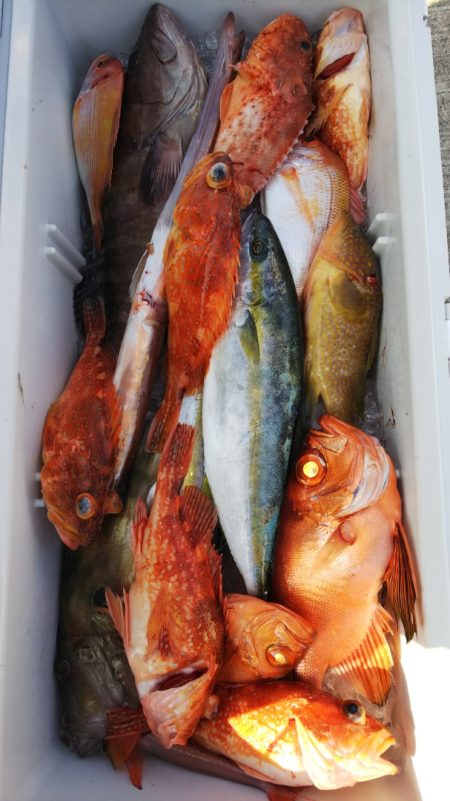 第二龍勢丸 釣果