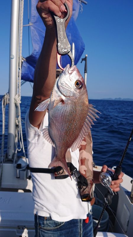 ARCADIAⅡ (アルカディアⅡ) 釣果