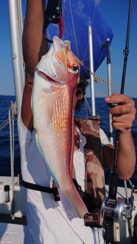 ARCADIAⅡ (アルカディアⅡ) 釣果