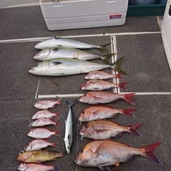 ARCADIAⅡ (アルカディアⅡ) 釣果