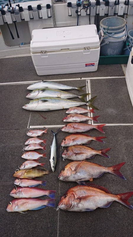 ARCADIAⅡ (アルカディアⅡ) 釣果