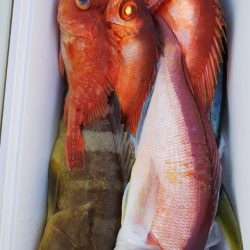 第二龍勢丸 釣果