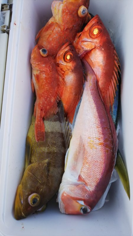 第二龍勢丸 釣果