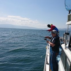 シースナイパー海龍 釣果