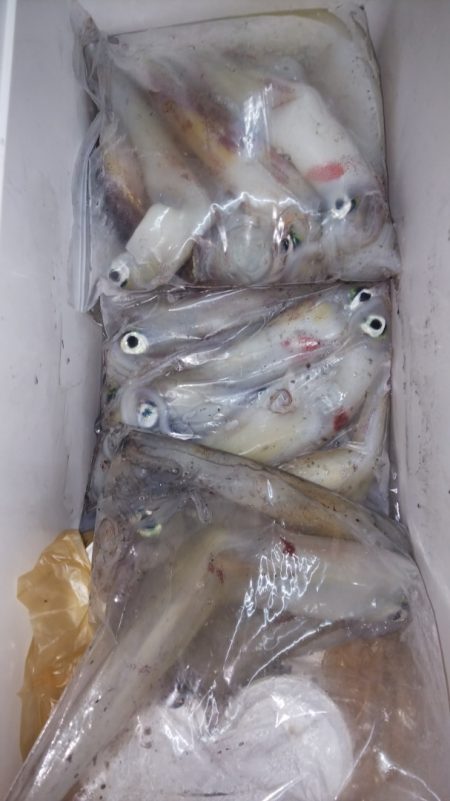 第二龍勢丸 釣果