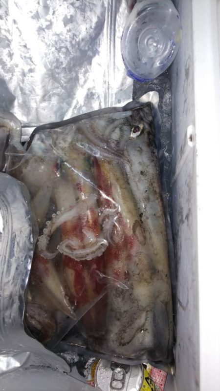 第二龍勢丸 釣果