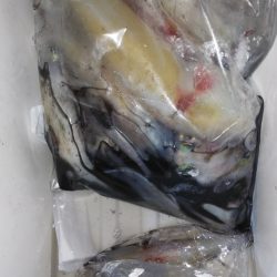 第二龍勢丸 釣果