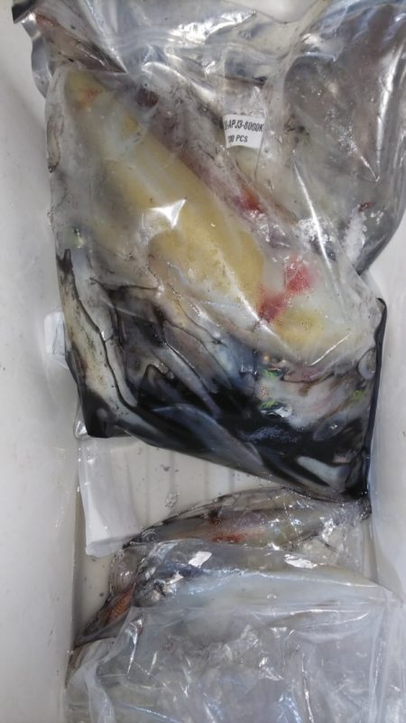 第二龍勢丸 釣果