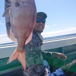 だて丸 釣果