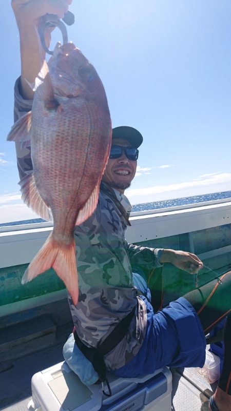 だて丸 釣果