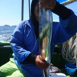 小島丸 釣果