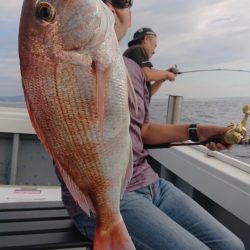 だて丸 釣果