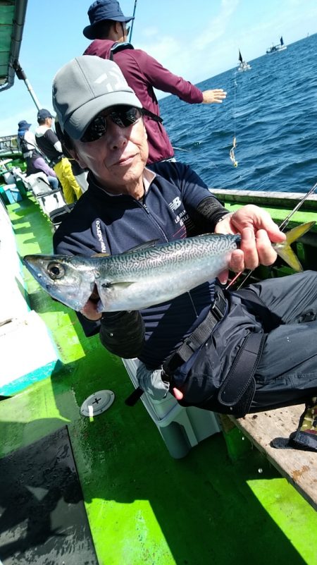 小島丸 釣果