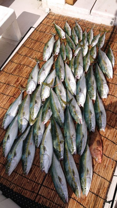 釣人家 釣果