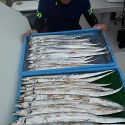 釣人家 釣果