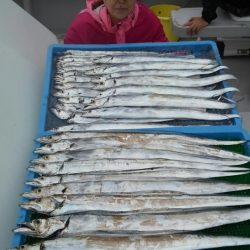 釣人家 釣果