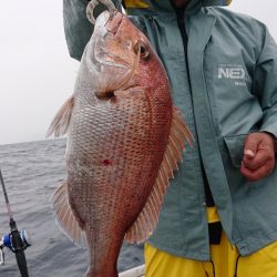 海皇丸 釣果