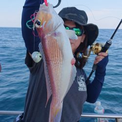 ARCADIAⅡ (アルカディアⅡ) 釣果