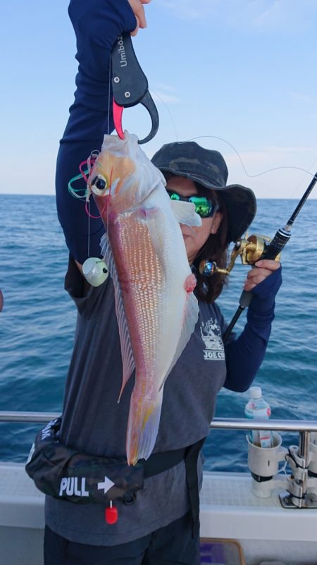 ARCADIAⅡ (アルカディアⅡ) 釣果