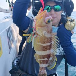 ARCADIAⅡ (アルカディアⅡ) 釣果