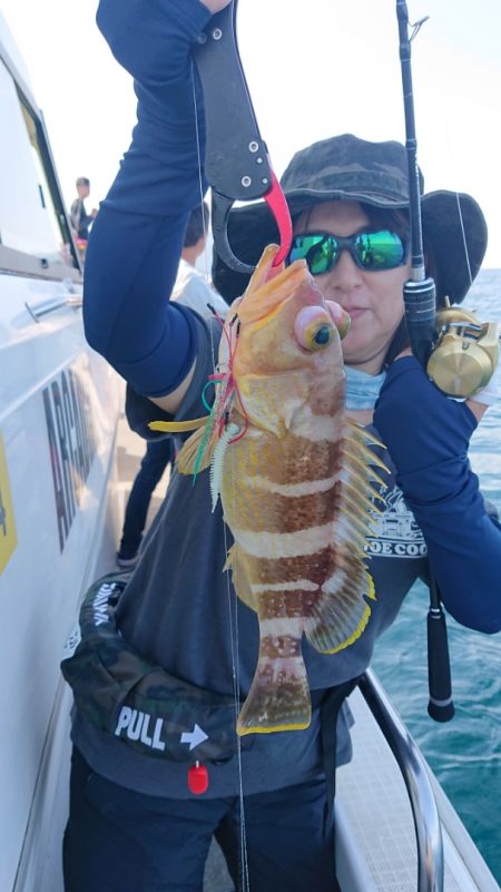 ARCADIAⅡ (アルカディアⅡ) 釣果