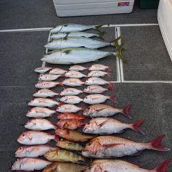 ARCADIAⅡ (アルカディアⅡ) 釣果