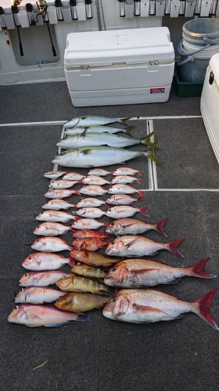 ARCADIAⅡ (アルカディアⅡ) 釣果