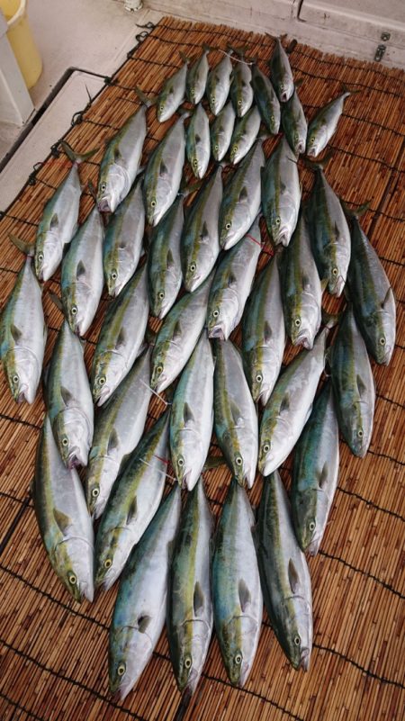 釣人家 釣果