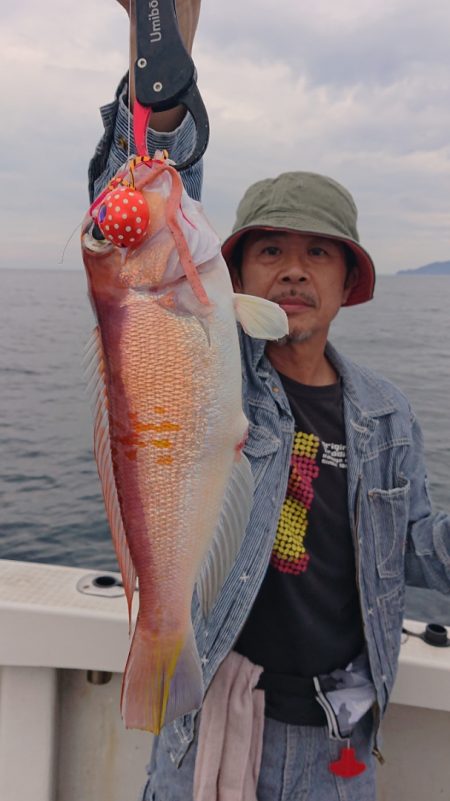 ARCADIAⅡ （アルカディアⅡ） 釣果…