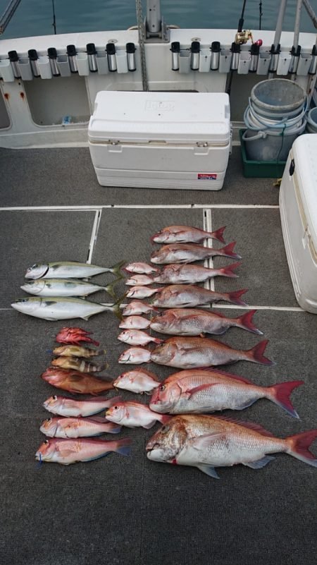 ARCADIAⅡ （アルカディアⅡ） 釣果