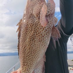 シースナイパー海龍 釣果