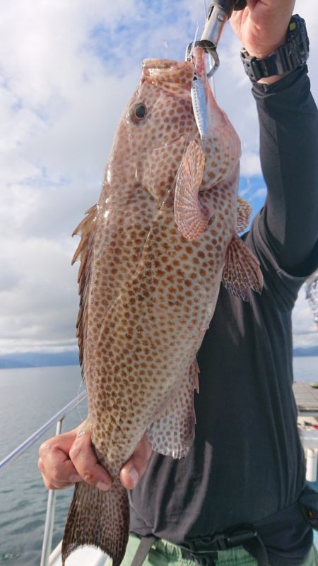 シースナイパー海龍 釣果