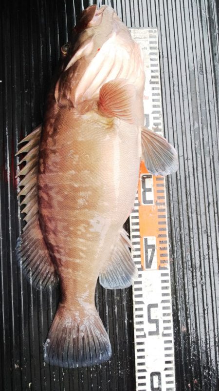 第二龍勢丸 釣果