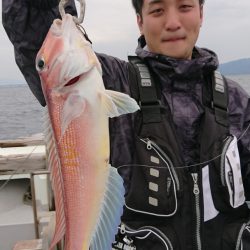 鷹王丸 釣果