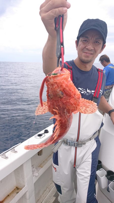 ARCADIAⅡ (アルカディアⅡ) 釣果