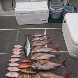 ARCADIAⅡ (アルカディアⅡ) 釣果