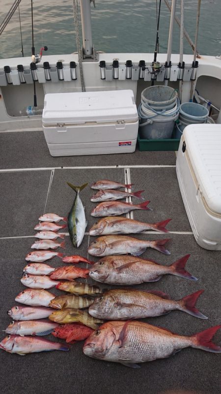 ARCADIAⅡ (アルカディアⅡ) 釣果