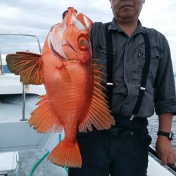 LUSTER『ラスター』 釣果