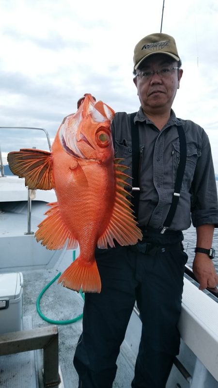 LUSTER『ラスター』 釣果