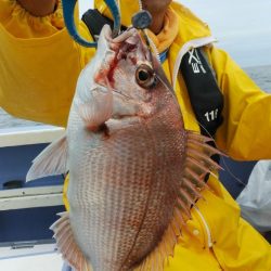 新幸丸 釣果