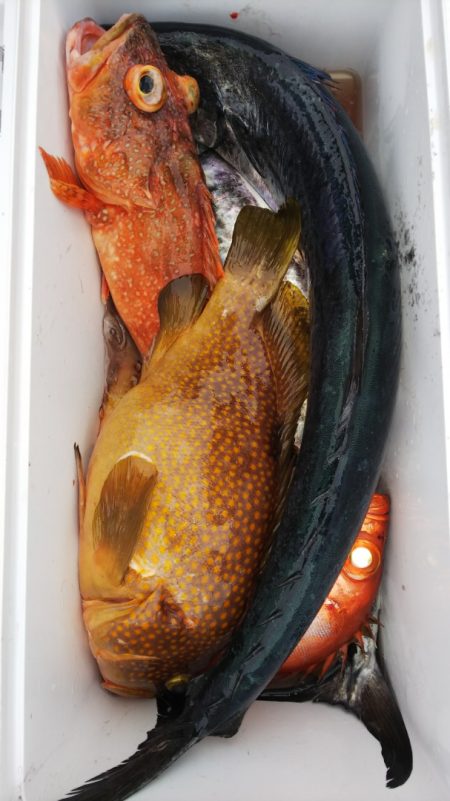 第二龍勢丸 釣果