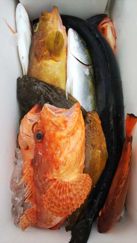 第二龍勢丸 釣果