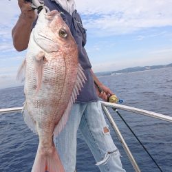 だて丸 釣果