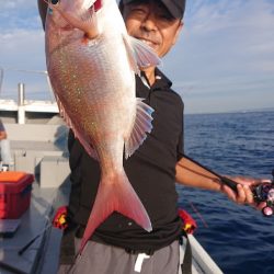 だて丸 釣果