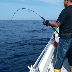 LUSTER『ラスター』 釣果