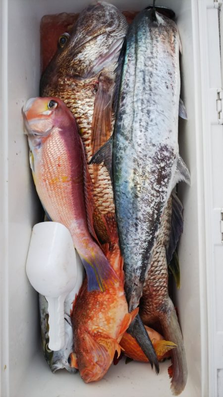 第二龍勢丸 釣果