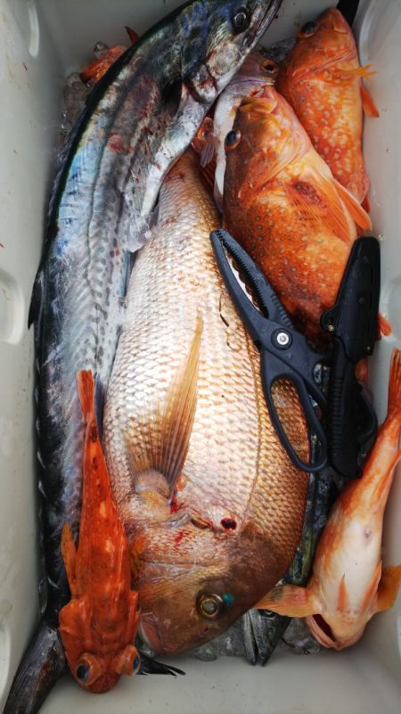 第二龍勢丸 釣果