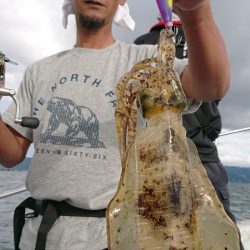 シースナイパー海龍 釣果