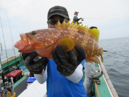 真祐丸 (しんゆうまる) 釣果