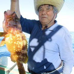 真祐丸 (しんゆうまる) 釣果